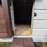 Hen Hutch Image 10