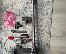 Dyson V8 animal