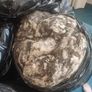Job lot of vintage horsehair and natural upholstery stuffing weighing approximately 35KG Image 10