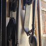 Pair of Segway Ninebot E25E Electric Scooters in Excellent Condition Image 7