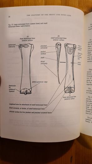 Farriery. A Complete Illustrated Guide. By John Hickman M. A. F. R. C. V. S. Large Volume Book. Hardback With Dustjacket In Very Good Condition.
