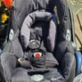 baby Image 6