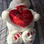 Large Teddy Image 2
