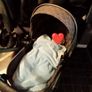 Magic ZC 3-in-1 Pram Image 4