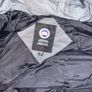 canada goose Image 3