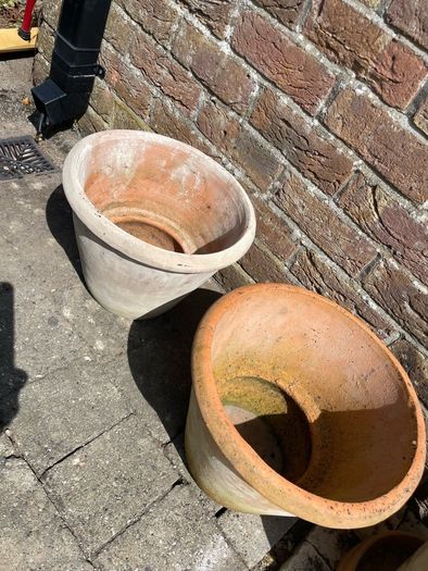 Terracotta Plant Pots