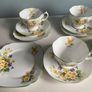 Royal Albert  Primulette Cups and Saucers Image 8
