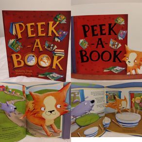 Peek A Book By Malachy Doyle