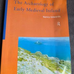 The Archaeology of Early Medieval Ireland