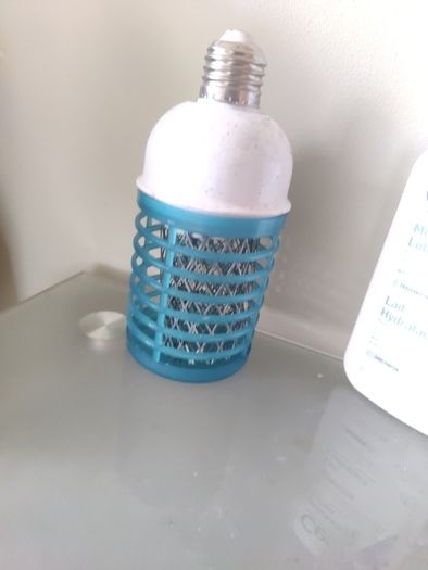insect killer bulb