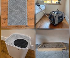 Various Cat Accessories