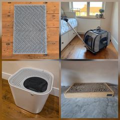 Various Cat Accessories