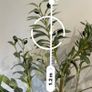 plant and Image 4