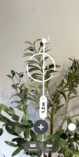 plant and