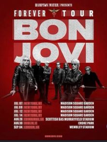 1x Bon Jovi ticket for Croke Park Upper Cusack