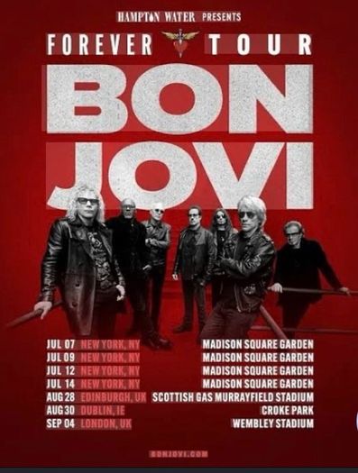 1x Bon Jovi ticket for Croke Park Upper Cusack