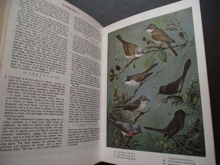 1972 "The Oxford Book of Birds"