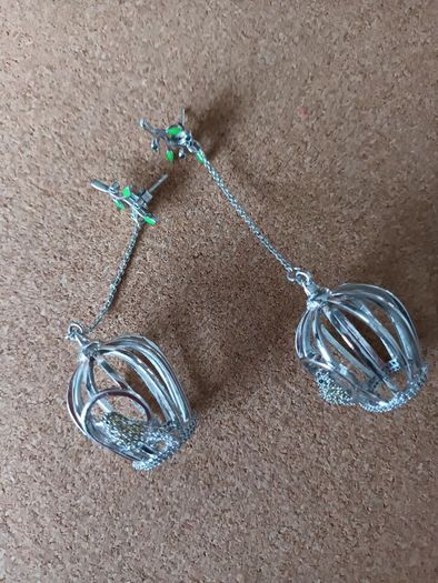Birds in a cage earrings