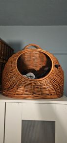 pet basket bed