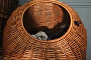 pet basket bed