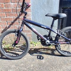 Girl Kids Bike for sale