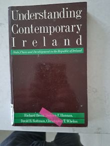 Understanding Contemporary Ireland: State, Class and Development in the Republic of Ireland