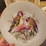 vintage Arklow display wall plate Image 2