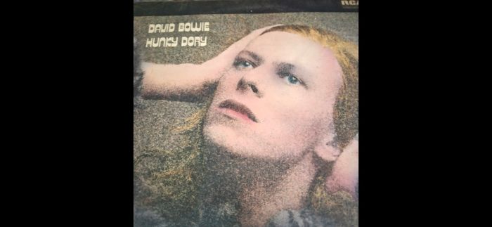 David Bowie LPs