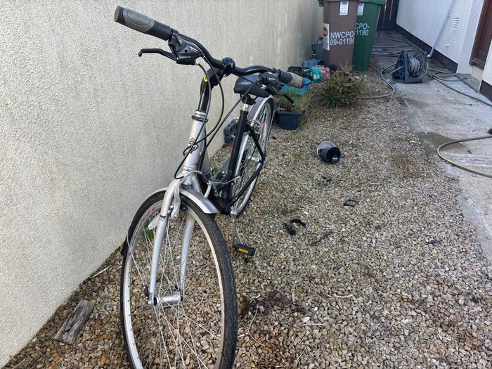 Ladies Bike