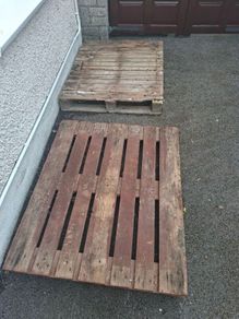 Pallets / firewood