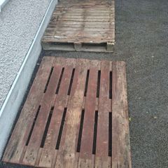 Pallets / firewood