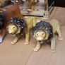 Lions collection Image 5