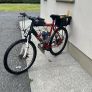 Phantom reaper v4 engine bike Image 3