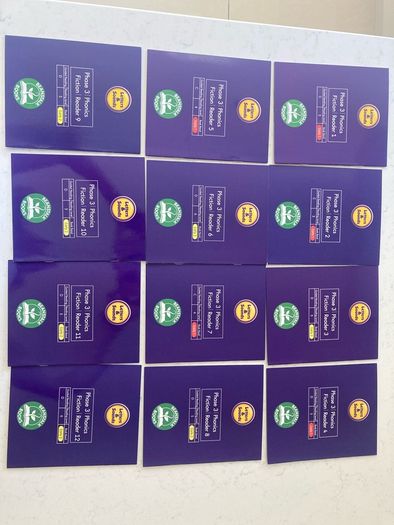 Set of 12 decodable readers