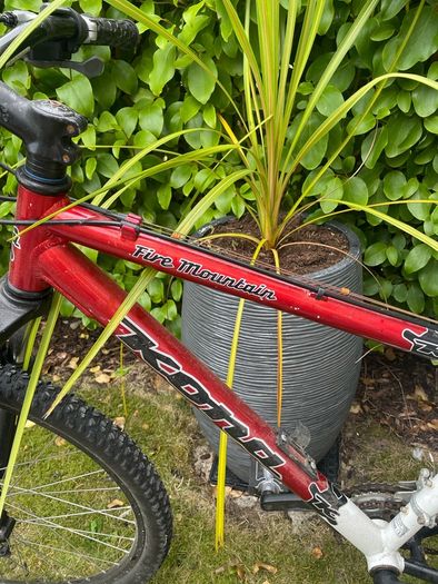Mens bike