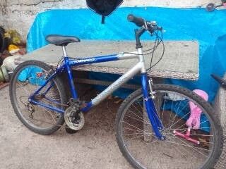 adult bike for sale