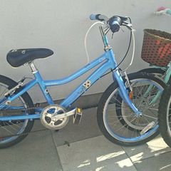 kids 20 inch bike