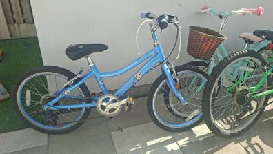 kids 20 inch bike