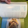 Lorraine Pascal How to be a better cook Image 6