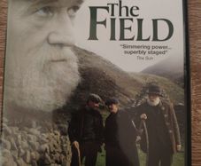 The field