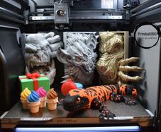Custom 3D Printing/Scanning Service