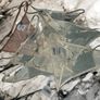 BNWT Daniel Axel Lingerie Packs All Sizes Image 2