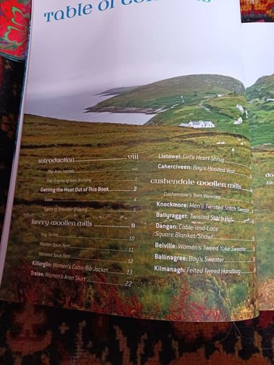 Contemporary Irish Knits/ Carol Feller