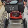 Bugaboo Cameleon Image 2