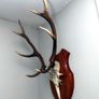 Antlers Image 5