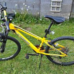 Mountain bike