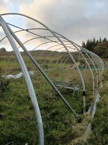 Polytunnel