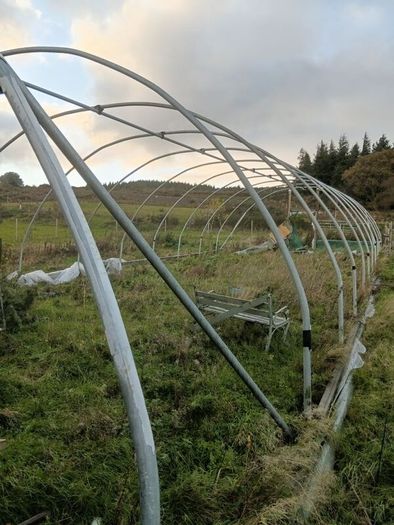 Polytunnel