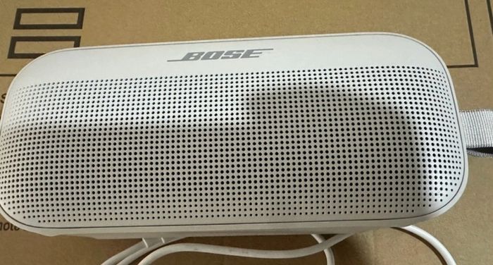 Bose flex