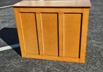 Price Shock 50 euro - Bar Counter - Worn Veneered Mdf